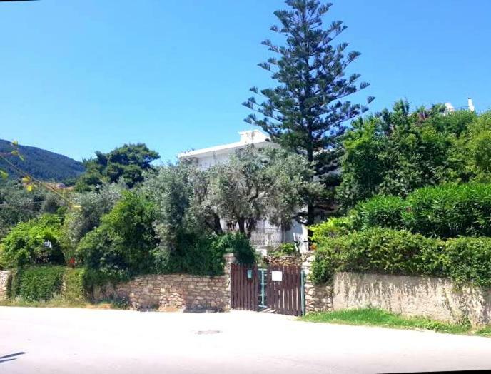 Greekowl Apartments Szkiáthosz Szoba fotó